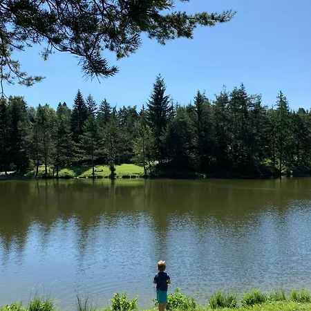 Sunny Weekend Sauna House - Happy * Preserje (Greater Ljubljana)